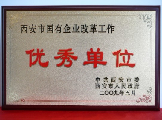 2009年5月，被西安市委、市政府評(píng)為西安市國企業(yè)改革工作優(yōu)秀單位