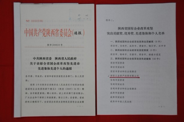 2009年2月，被陜西省委、省政府授予陜西省國有企業(yè)改革攻堅(jiān)先進(jìn)集體